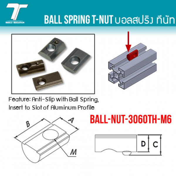 BALL-NUT-3060TH-M6 0