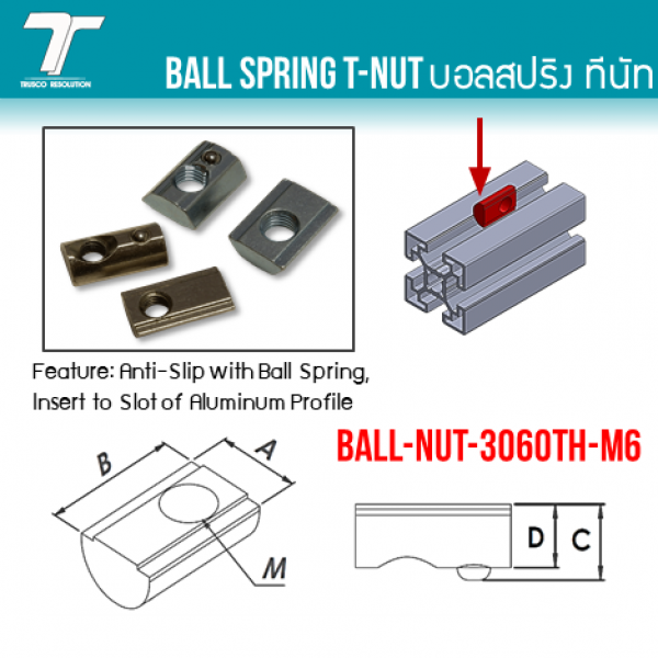 BALL-NUT-3060TH-M6