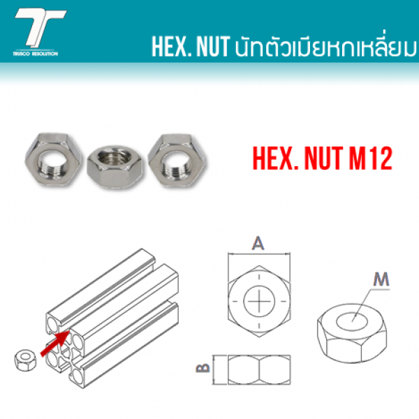 HEX. NUT M12