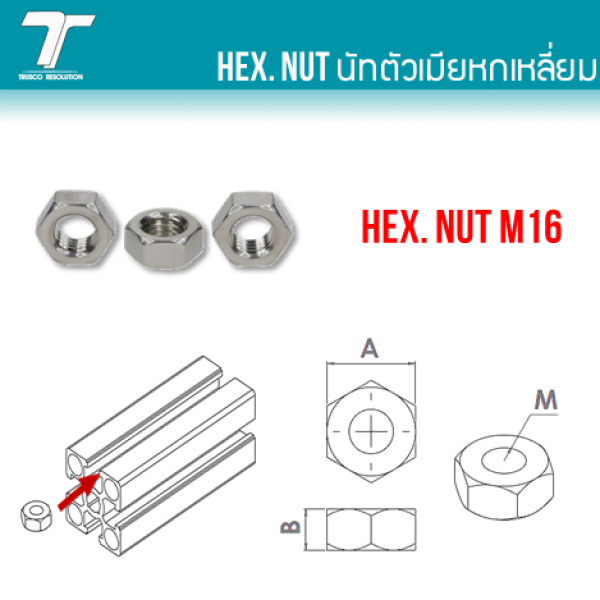 HEX. NUT M16