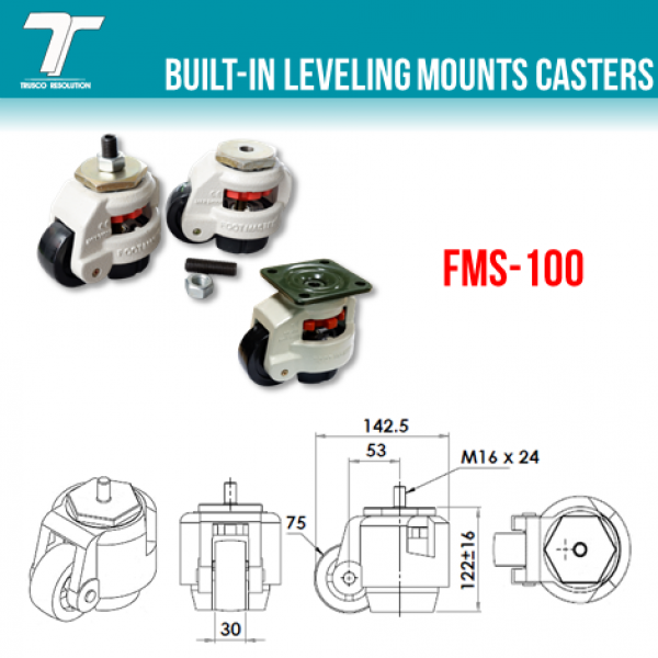 FMS-100 0